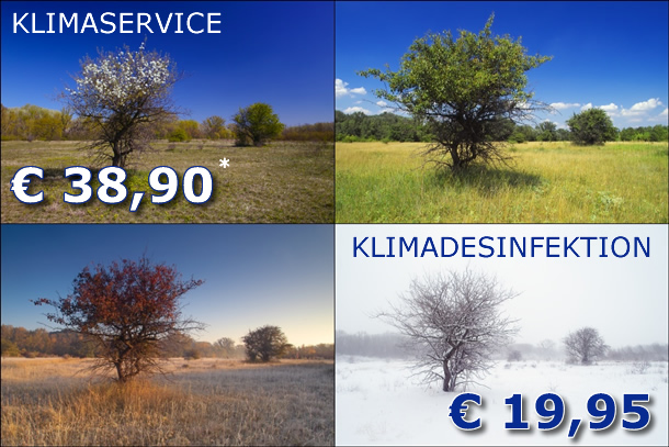 Klimaservice gibt es für 38,90 Euro sowie Klimadesinfektion für 19,95 Euro zuzüglich Materialkosten